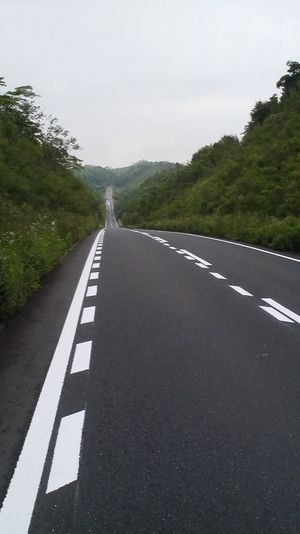 road.jpg
